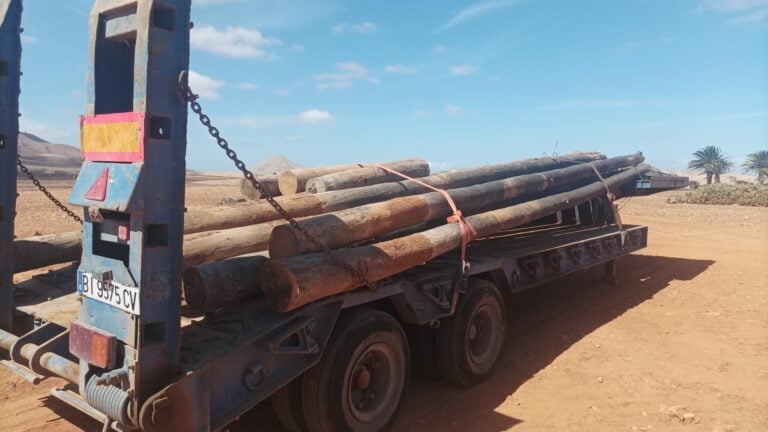 Retiran los tendidos telefónicos obsoletos en el municipio de La Oliva