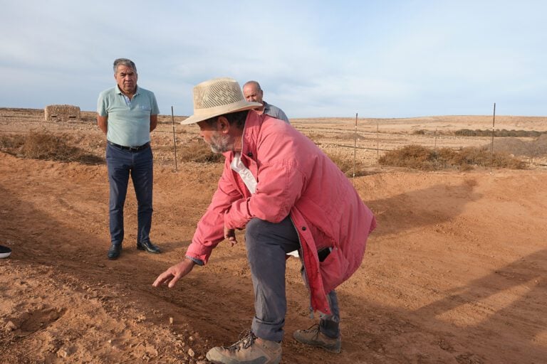 Fuerteventura pone en marcha un proyecto pionero para preservar la biodiversidad de la Isla