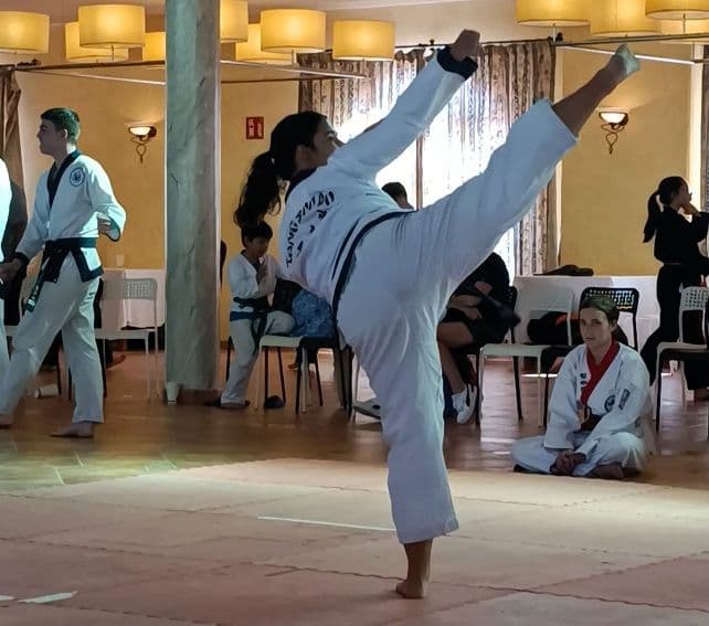 Nueve Oros para deportistas de Antigua en el Encuentro Internacional de Artes Marciales Tradicionales