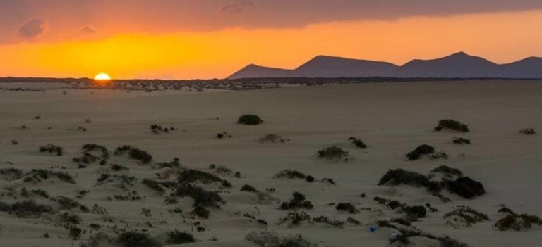 En marcha el diseño de un Plan de Acción coordinado de la Red Canaria de Reservas de la Biosfera