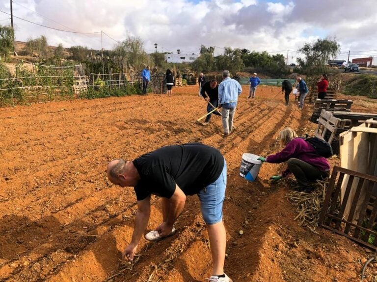 Vuelve el Curso de Buenas Prácticas del Cultivo de la papa al municipio de Antigua