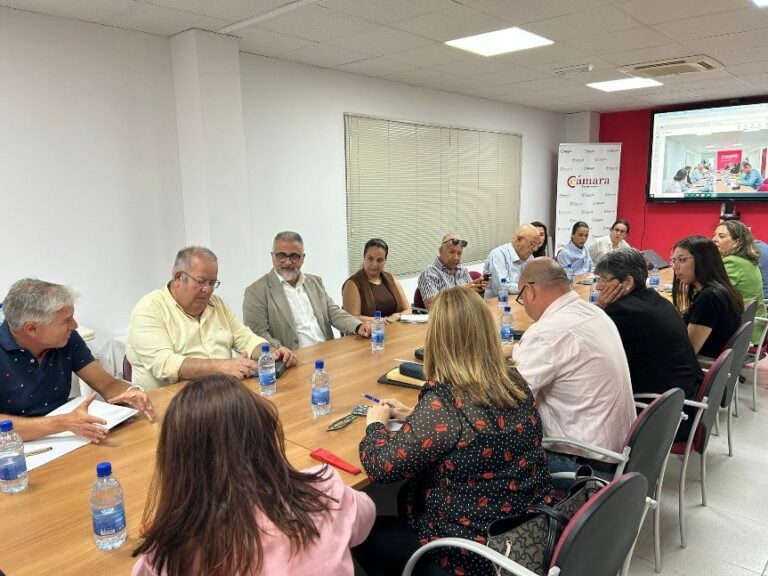 La Cámara de Comercio se reúne con los agentes turísticos de la Isla