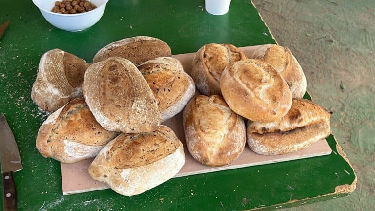 Pan artesanal de la mano de GDR Maxorata y el Cabildo