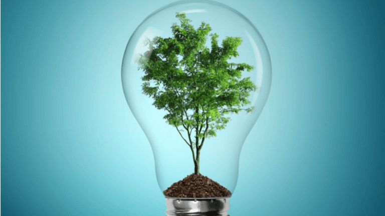 El Parlamento de Canarias convalida la modificación de la ley de Cambio Climático y Transición Energética