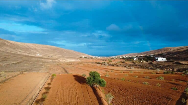 Guisguey Lidera el Camino Hacia la Sostenibilidad con el Proyecto Piloto BarriODS