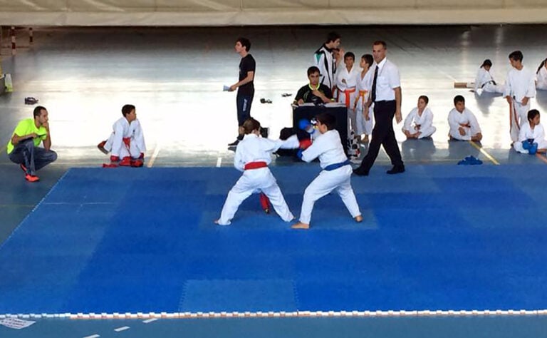 Puerto del Rosario destina 40.000 € a las AMPAs para impulsar actividades y proyectos escolares