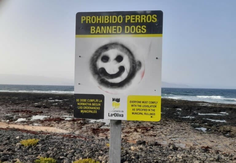 Actos vandálicos en las playas de La Oliva: se solicita la ayuda ciudadana
