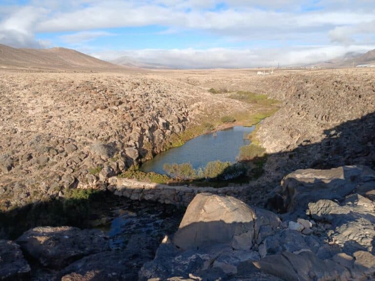 El Cabildo de Fuerteventura impulsa la limpieza del Barranco Río Cabras