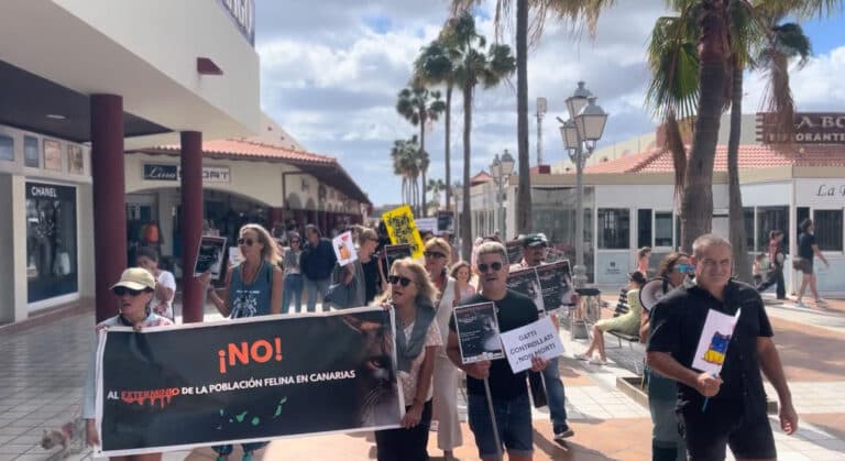 Fuerteventura se moviliza en defensa de las colonias felinas y rechaza el exterminio de gatos en áreas protegidas