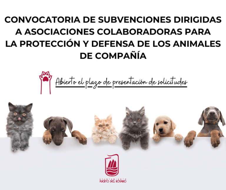 Puerto del Rosario impulsa la defensa y bienestar animal con nuevas subvenciones destinadas a asociaciones locales