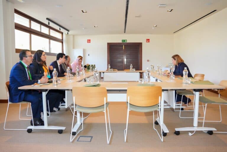 Astrid Pérez se reúne con una delegación de la Cámara de representantes de Marruecos para hablar sobre la situación de la migración en Canarias