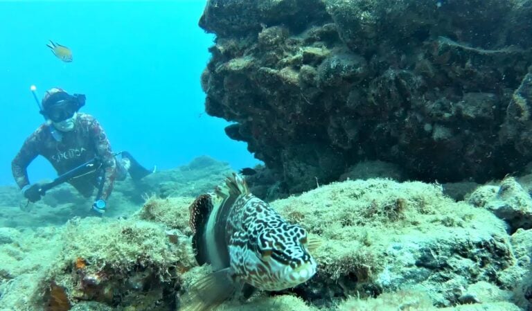 José Landa: «El Cabildo ha cedido a la presión de las cofradías de pescadores de Fuerteventura»