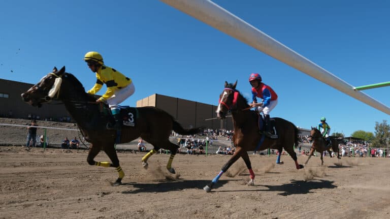 Miles de personas presencian el II Interprovincial de Caballos de FEAGA