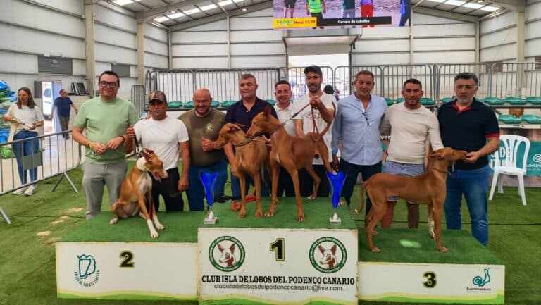 Casi una treintena de perros participaron en la XIII Exposición Insular del Podenco Canario en FEAGA