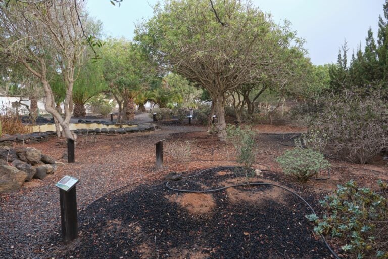 Nuevas infraestructuras y reforestación para recuperar ecosistemas terrestres en la isla