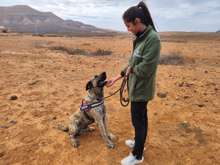 Gesplan y Voluntariado CaixaBank impulsan el voluntariado en los centros de protección animal de Canarias