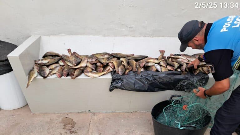 La Policía Local de Puerto del Rosario incauta 50 kg de pesca ilegal en Puerto Lajas