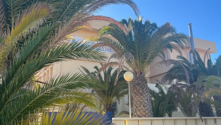 AMF de Tuineje denuncia «el cúmulo de irresponsabilidades» que se están cometiendo en el CEIP Gran Tarajal