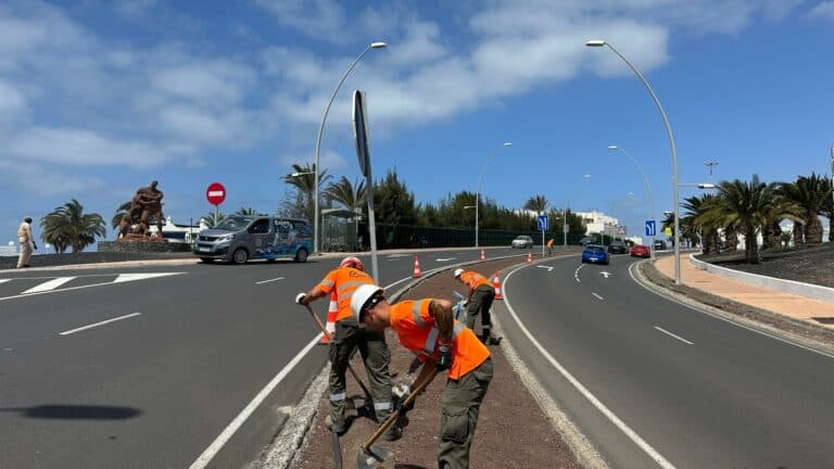 El Cabildo de Fuerteventura acondiciona 1.720 metros cuadrados de mediana en Morro Jable