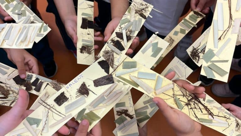 El CEIP Puerto de Cabras acoge un taller de cestería para fomentar la artesanía entre escolares