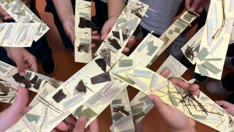 El CEIP Puerto de Cabras acoge un taller de cestería para fomentar la artesanía entre escolares