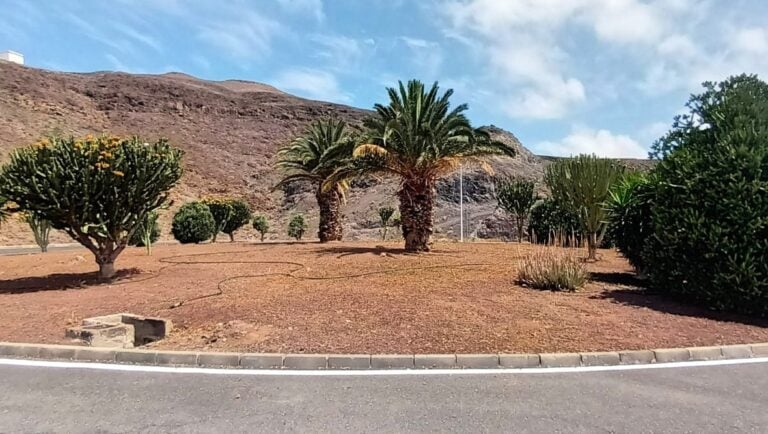 Pájara culmina las labores de limpieza y desbroce en la zona de Jandía