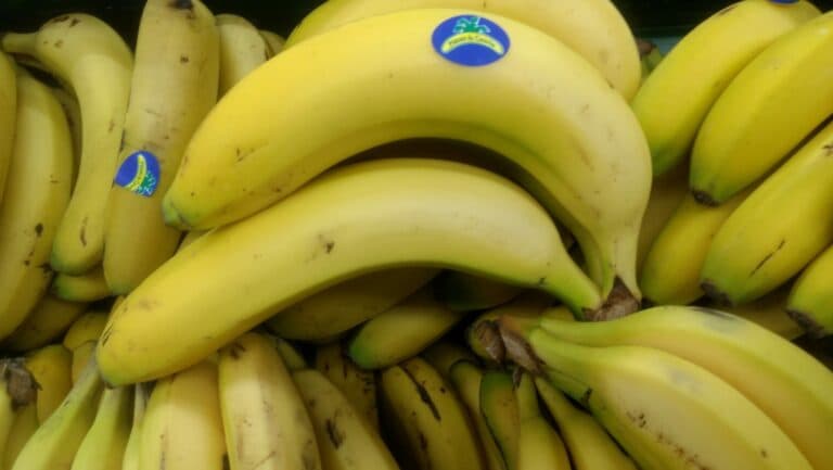 La asociación de productores del plátano de Canarias Asprocan pide “buscar un equilibrio” en los precios