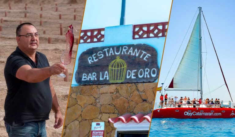 La bodega Conatvs, La Jaula de Oro y Catamarán Excursión, entre los premiados del turismo 2025