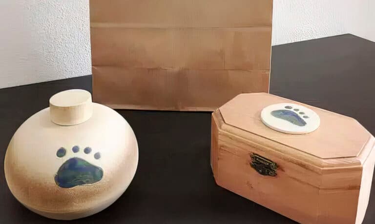 El PP denuncia el rechazo del gobierno local a un servicio público de cremación de mascotas