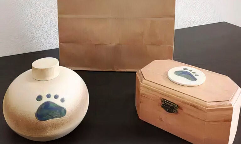 El PP denuncia el rechazo del gobierno local a un servicio público de cremación de mascotas