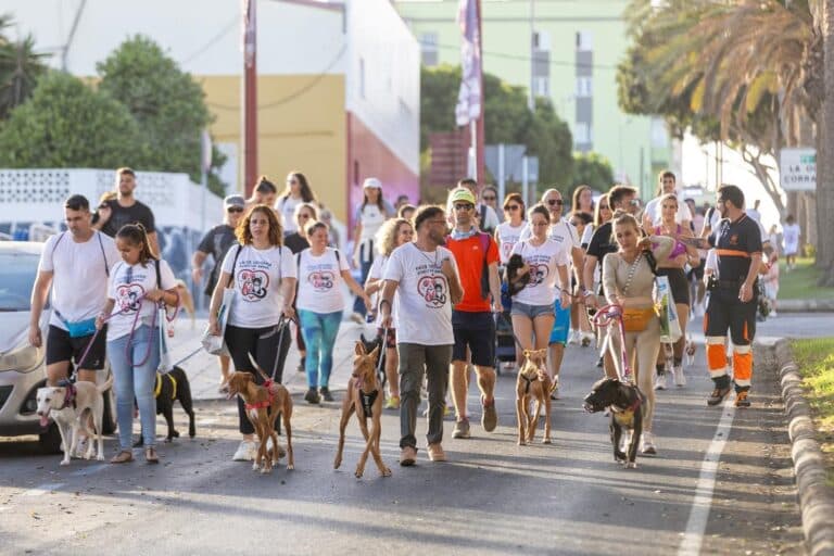 Puerto del Rosario celebra el II Paseo Solidario Bienestar Animal con actividades, adopciones y música