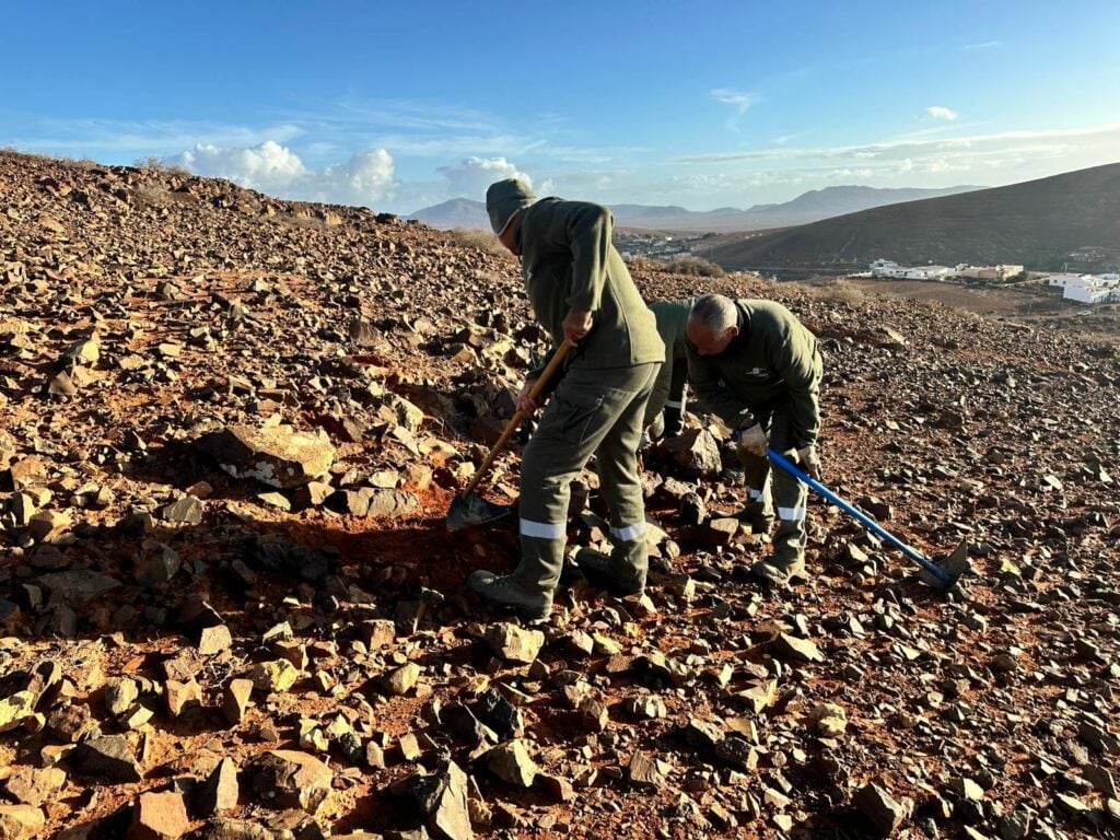 El Cabildo impulsa una gran rehabilitación sostenible del paisaje tradicional de Agua de Bueyes
