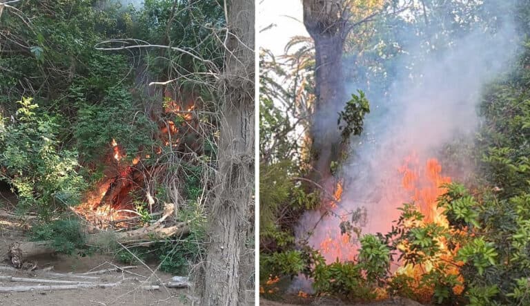 Sabotajes en Costa Calma ponen en riesgo el suministro de agua y la seguridad del palmeral