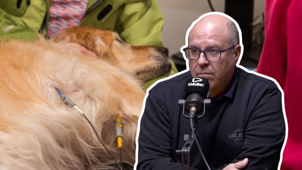 “No es falta de voluntad, es un problema estructural”: un veterinario explica por qué Fuerteventura no tiene urgencias veterinarias 24 horas