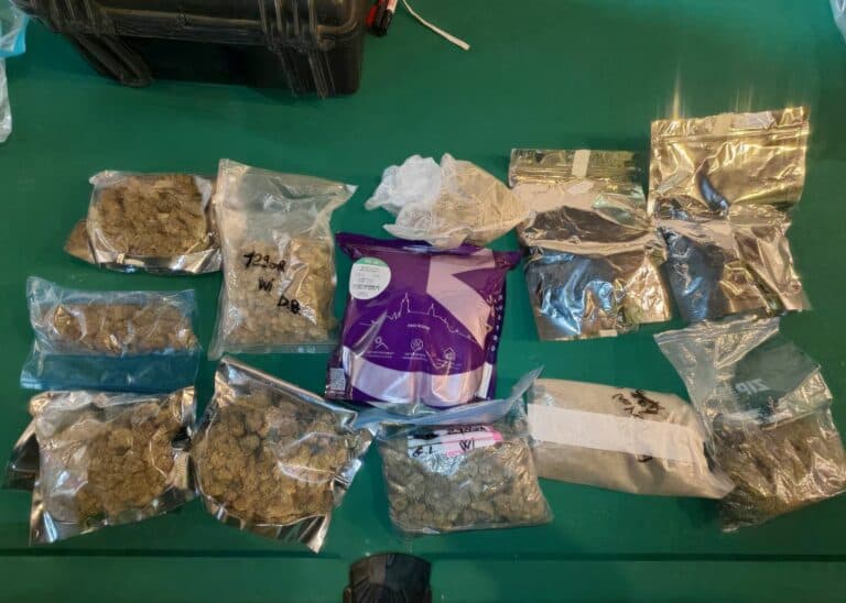 Desmantelan un punto de venta de drogas en una asociación cannábica de Puerto del Rosario