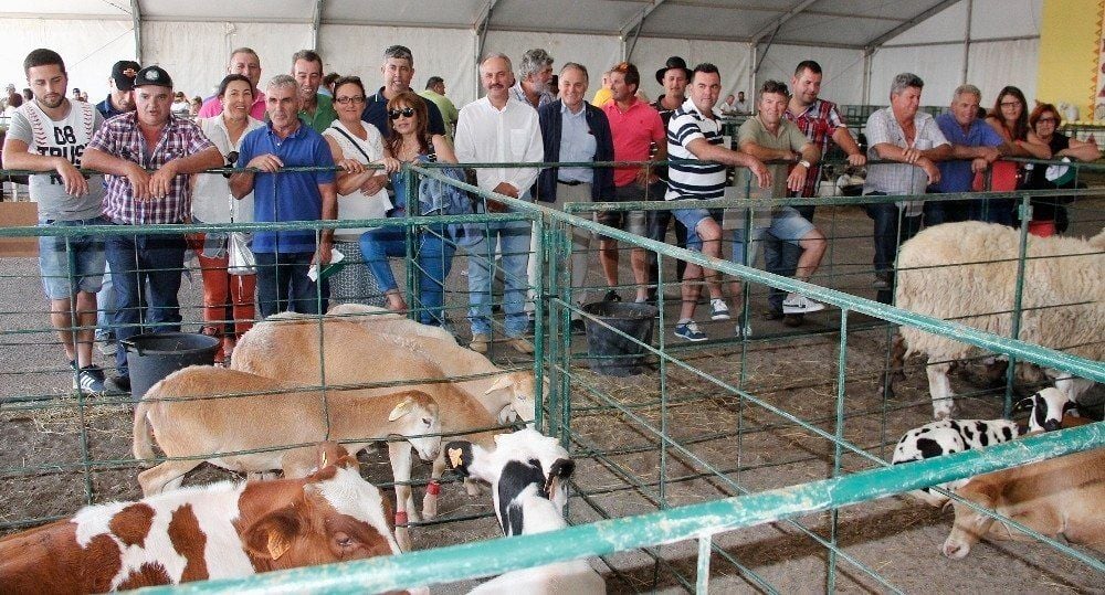 El Cabildo de Fuerteventura duplica su apoyo a las muestras de ganado en Betancuria, Tiscamanita y Tesejerague