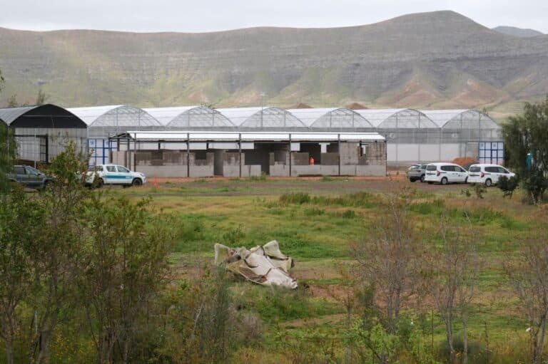 La restauración ambiental en La Oliva avanza hacia su culminación