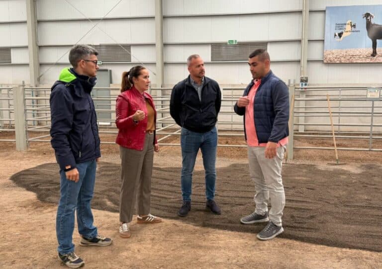 El Cabildo de Fuerteventura se prepara para una edición innovadora de FEAGA 2026