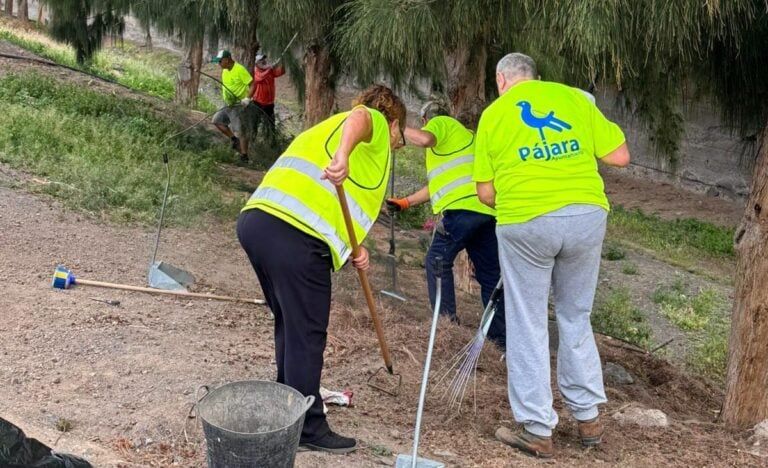 El Ayuntamiento de Pájara intensifica la limpieza y mejora de jardines en Morro Jable