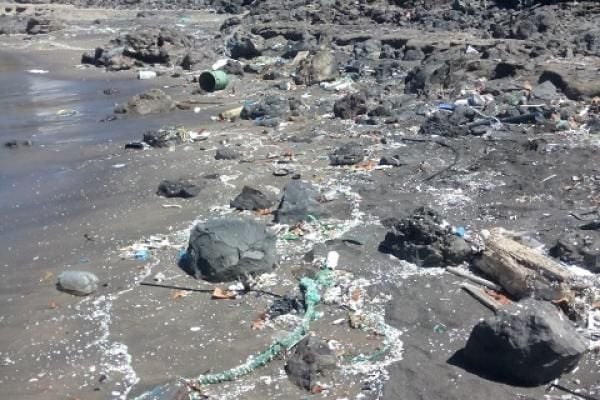 «Cada ciclo de lavado libera 700.000 fibras textiles al mar de Canarias»