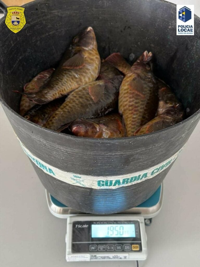 Intervención policial en Puerto del Rosario por pesca ilegal en el litoral