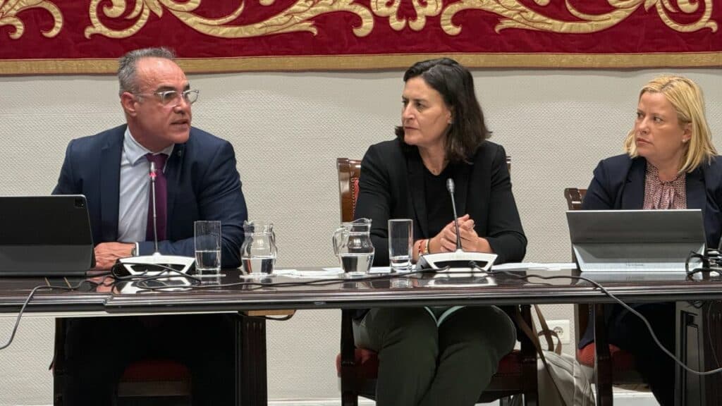 El comisionado del REF presenta un nuevo incentivo fiscal para mejorar la capacitación y conciliación en Canarias