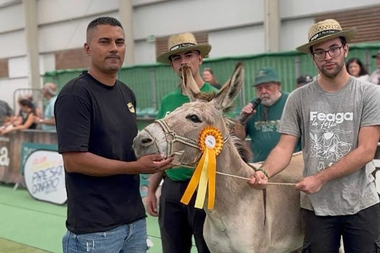 Tofio, Jandía y Niebla se coronan como los mejores ejemplares en el primer concurso morfológico del burro majorero