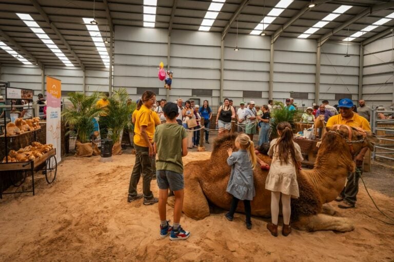 «Pon un camello canario en tu vida»: Dromemilk lleva la educación animalista a FEAGA 2026