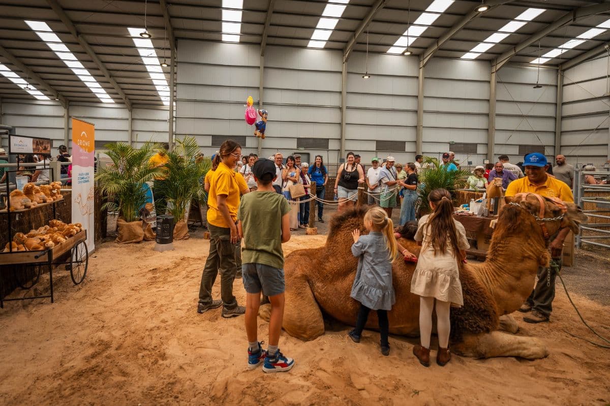 «Pon un camello canario en tu vida»: Dromemilk lleva la educación animalista a FEAGA 2026
