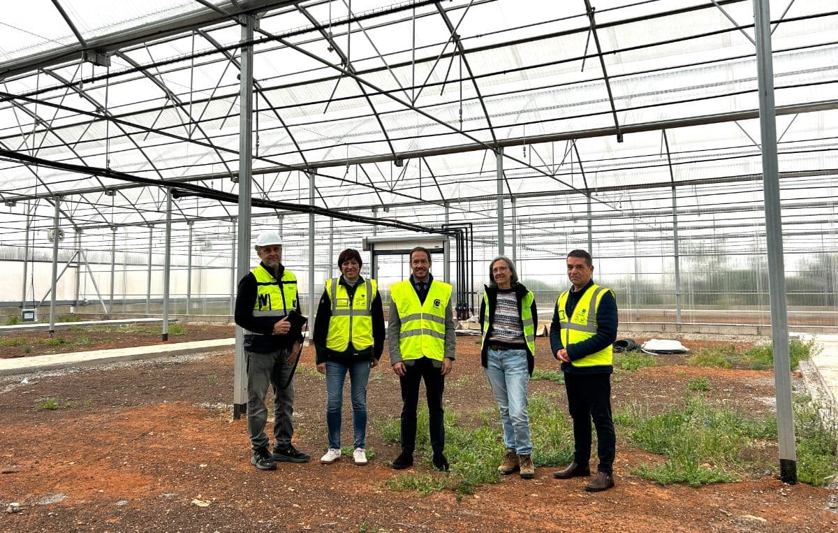 1,1 millones para la restauración de ecosistemas de Fuerteventura con un proyecto que supera el 50% de ejecución