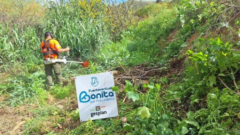 El Cabildo retira 220 metros cúbicos de residuos en una intensa limpieza de 14 barrancos de Betancuria