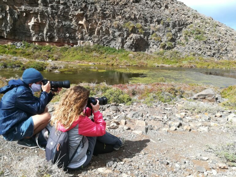 Los humedales de Fuerteventura, fuente de agua dulce