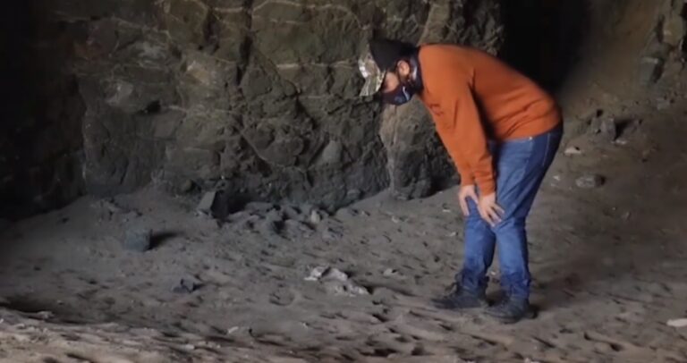 Patrimonio Histórico actualiza sus publicaciones después de varios años