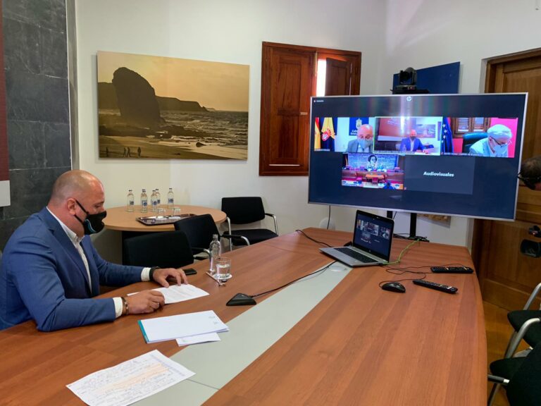 El presidente del Cabildo participa telemáticamente en el Senado
